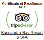 TripAdvisor Certificate 2016